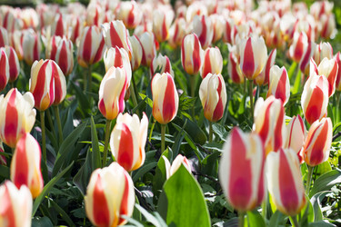 Similar image 17241107