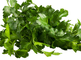 Similar image 17241112