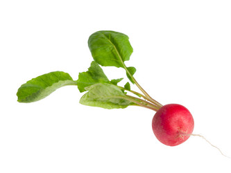 Similar image 17241114