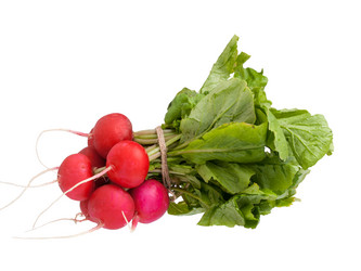 Similar image 17241116