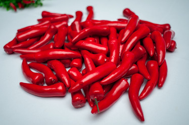 Similar image 17244090