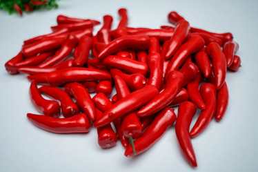 Similar image 17244126