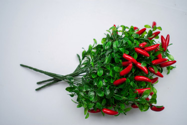 Similar image 17244138