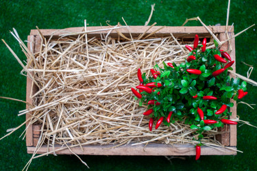 Similar image 17244162