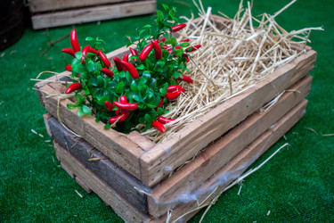 Similar image 17244104