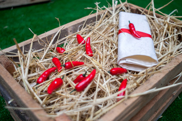 Similar image 17244106