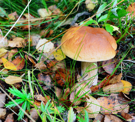 Similar image 17240792