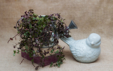 Similar image 17245602