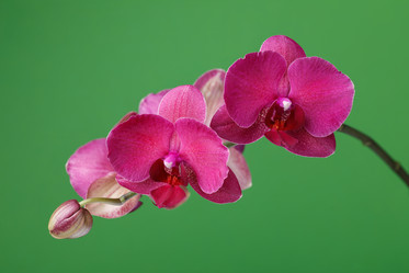 Similar image 17240847