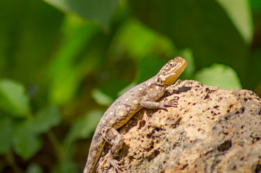 Similar image 17544059