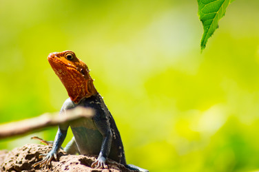 Similar image 17544062