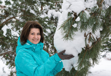 Similar image 17246310