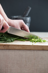 Similar image 17244009