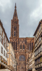 Similar image 17241616