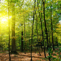 Similar image 17243852