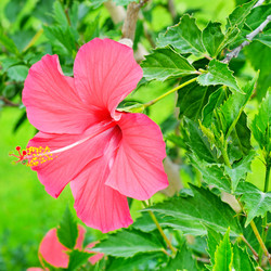 Similar image 17243861