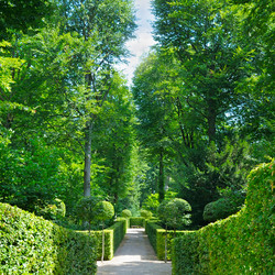 Similar image 17243862