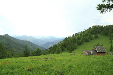 Similar image 17244829