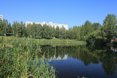 Similar image 17245628