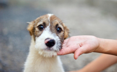 Similar image 17245706