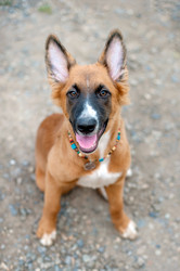 Similar image 17245707