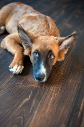 Similar image 17245711