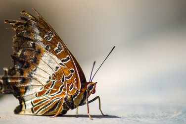 Similar image 17544118