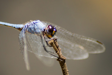 Similar image 17544130