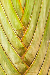 Similar image 17544132