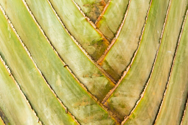 Similar image 17544133