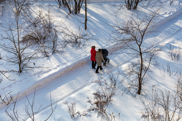 Similar image 17248668