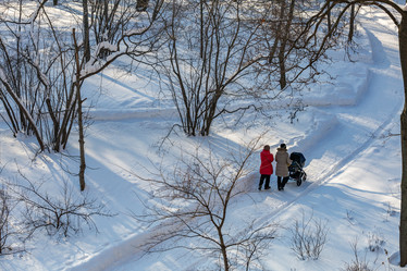 Similar image 17248684