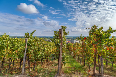 Similar image 17248440