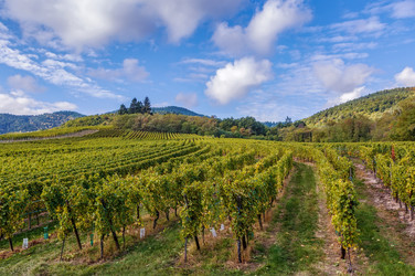 Similar image 17248441