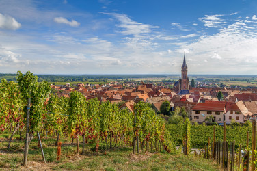 Similar image 17248369