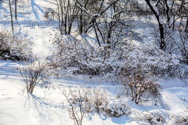 Similar image 17248648