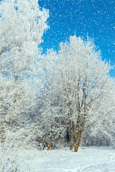 Similar image 17246324