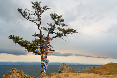 Similar image 17245937