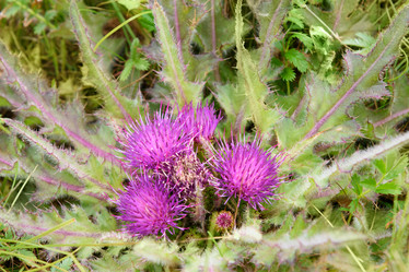 Similar image 17245983