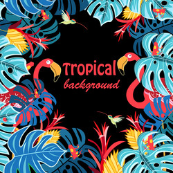 Similar image 17247877