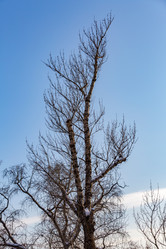 Similar image 17248649