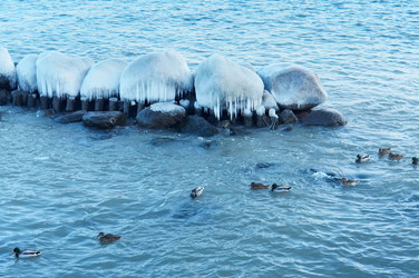 Similar image 17244358