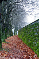 Similar image 17247448