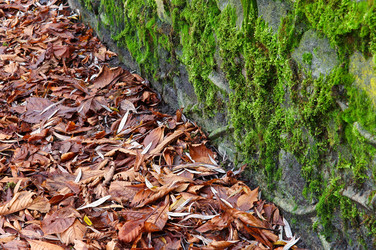 Similar image 17245825