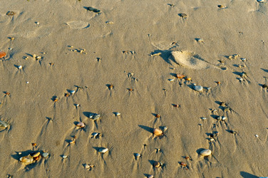 Similar image 17245798