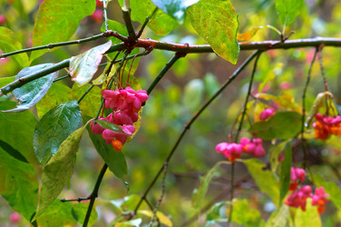 Similar image 17542985