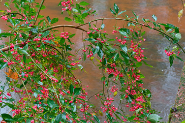 Similar image 17247433