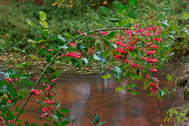 Similar image 17247435