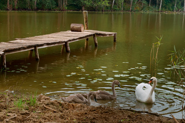 Similar image 17271823