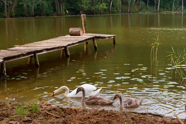 Similar image 17542987